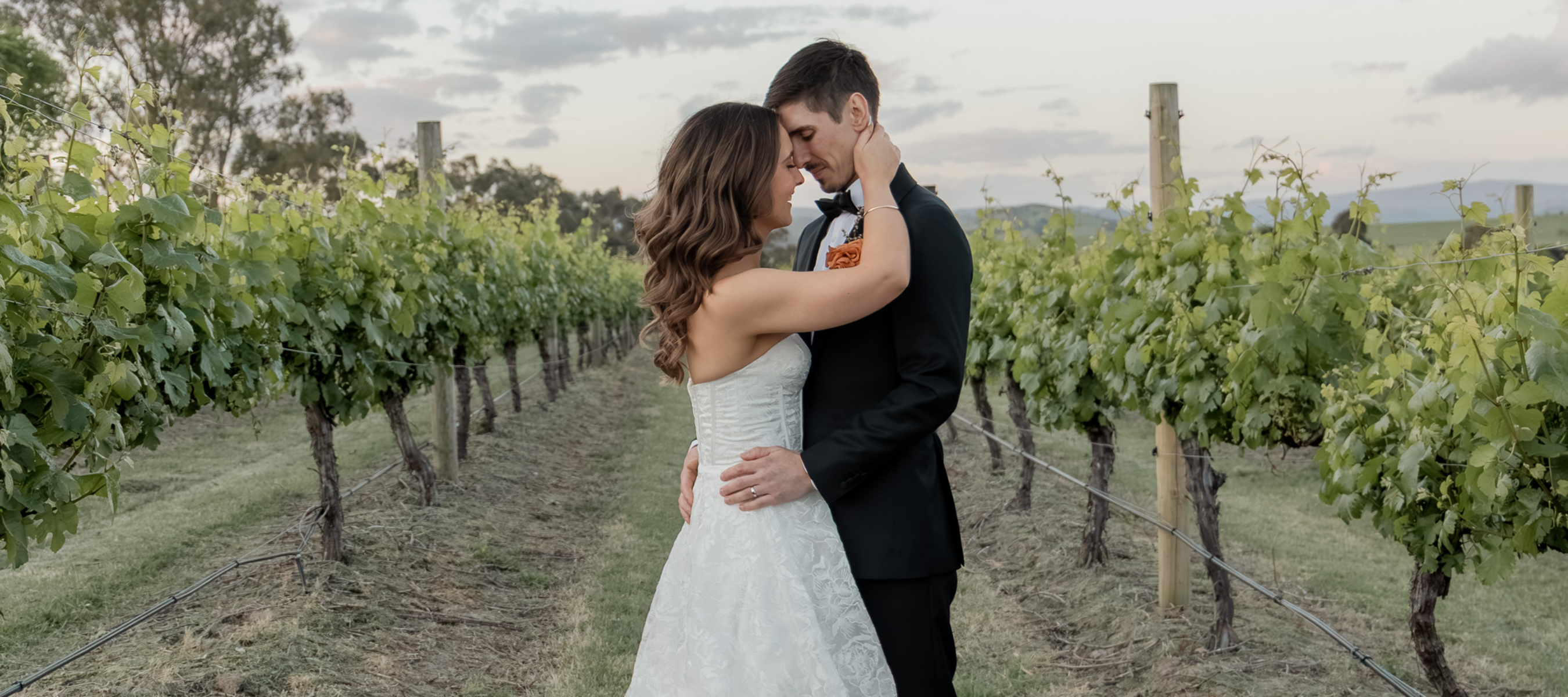 Bride and Groom touching foreheads in the vines of a vineyard in the yarra valley at sunset.